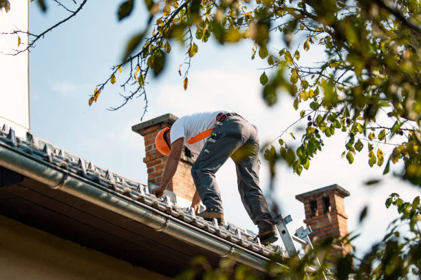Roof Gutter Cleaning in Taft Heights, CA