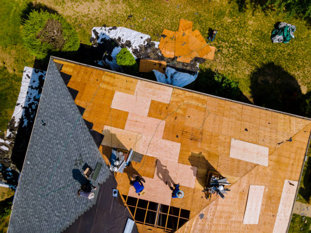 Best Storm Damage Roof Repair  in Taft Heights, CA